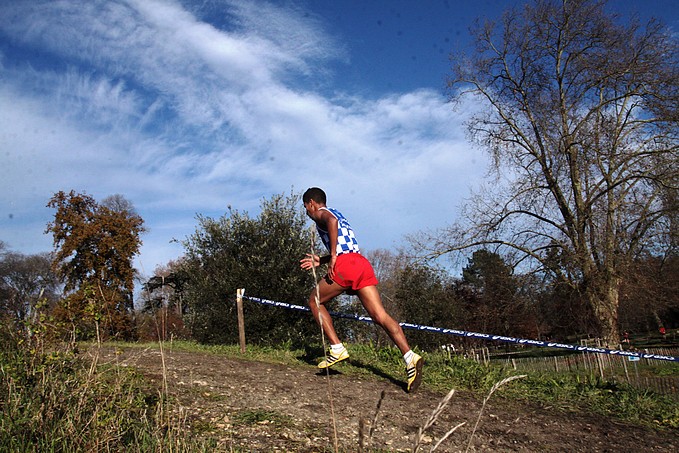 Diapositive suivante